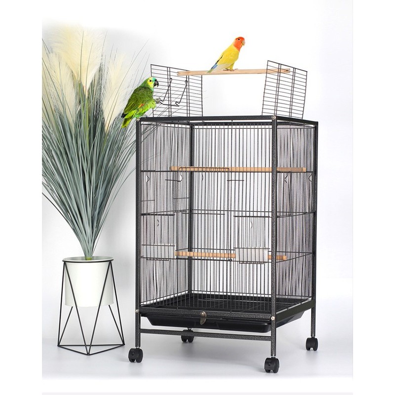 Bird Cage Birds Cages 2023502