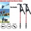 Trekking Poles Hiking Pole Walking Stick 2021906