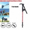 Trekking Poles Hiking Pole Walking Stick 2021906