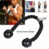 Tricep Rope Pull Down Bicep Rops Gym Exercises 3637602