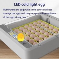 36 Egg Incubator 2016712